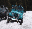 Traci's Jeep